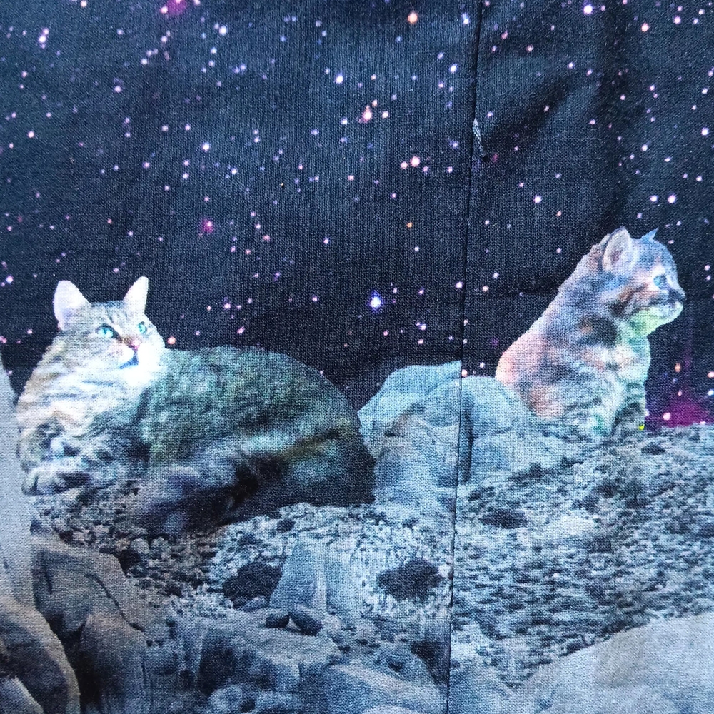 Modcloth "Take Up Space" Fit and Flare Cats Kittens in Space Dress - Picture 9 of 14